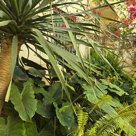 Apartamento Alma De Santa Marina