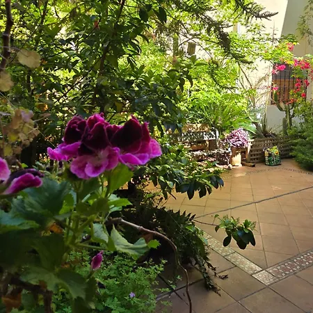 Apartamento Alma De Santa Marina Cordoba