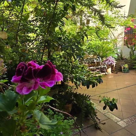 Apartamento Alma De Santa Marina Apartment