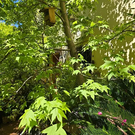Apartamento Alma De Santa Marina Cordoba